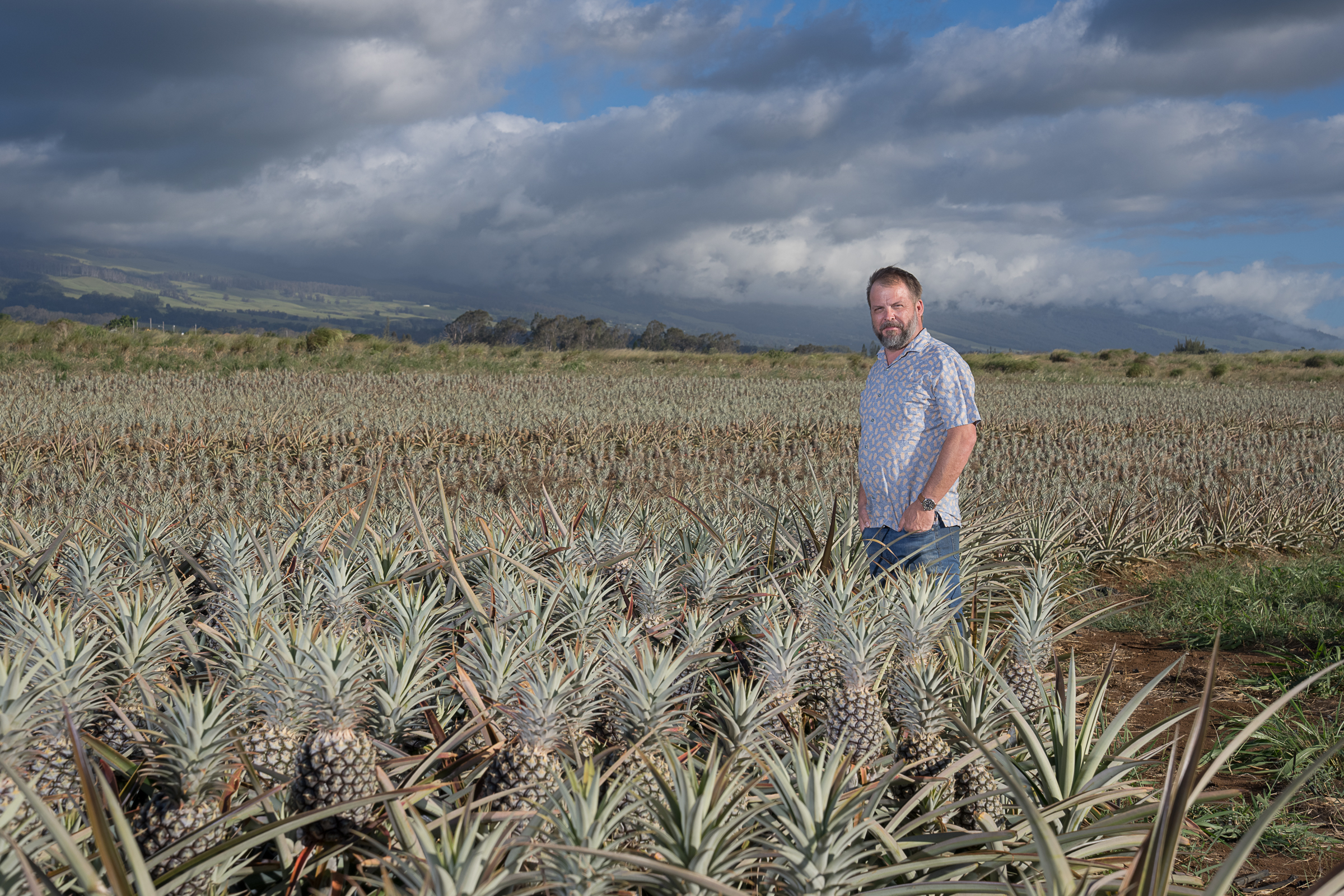 Tours, retail store help Maui Gold Pineapple Company thrive on island